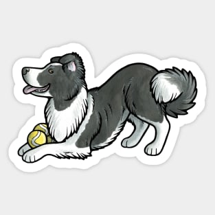 Border collie with tennis balls Sticker